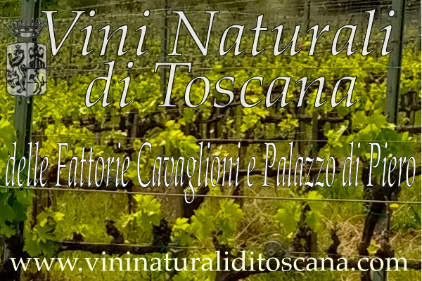 logo-vini-naturali-600x400